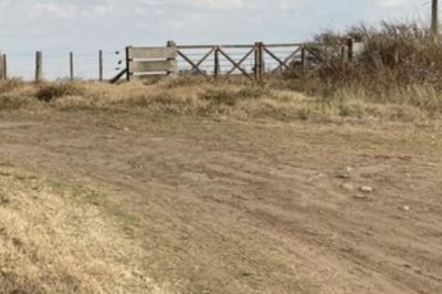 Robo millonario: asesinaron a un hombre en un campo entre Venado Tuerto y Carmen