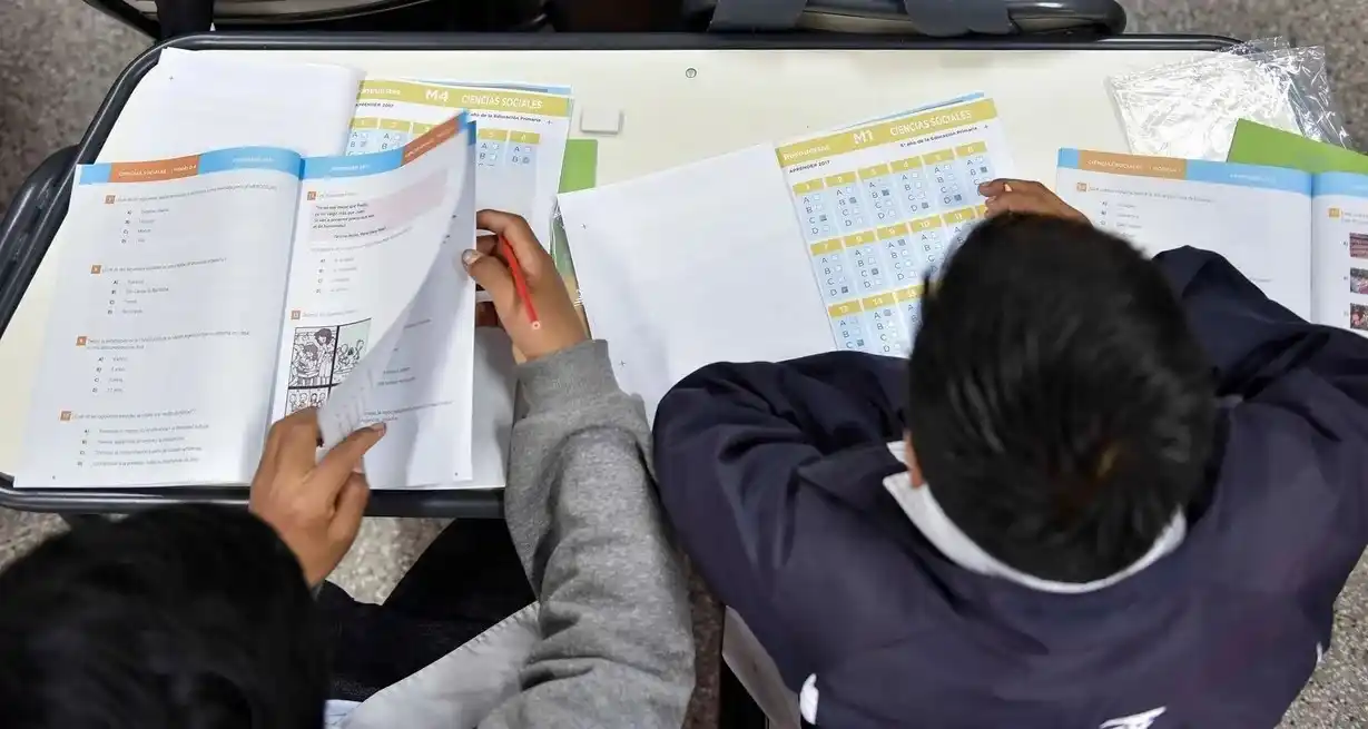 La autora pone énfasis en una serie de elementos que surgen del mensaje ministerial sobre la reciente prueba censal de fluidez lectora. Y hace hincapié en estudios sobre alfabetización hechos entre 2014 y 2016 que podrían retomarse.