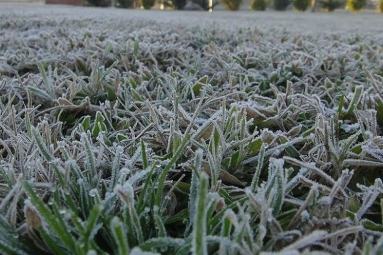 Alerta amarilla y naranja por temperaturas extremas en Formosa