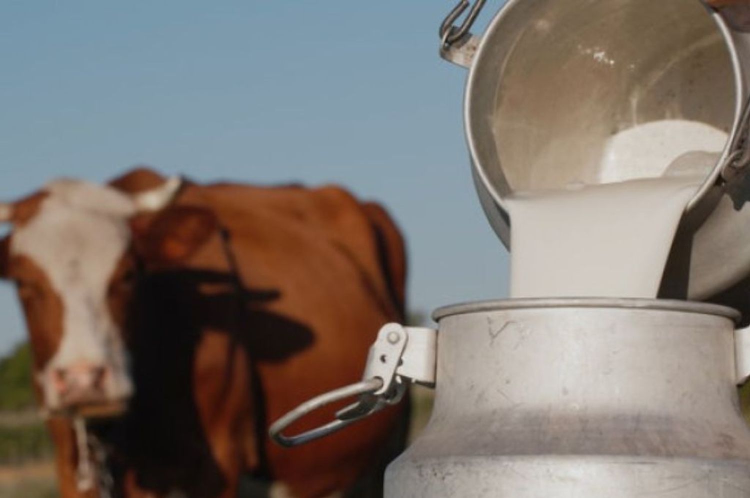 Detectaron presencia de un herbicida en la leche de los tambos de Villa María