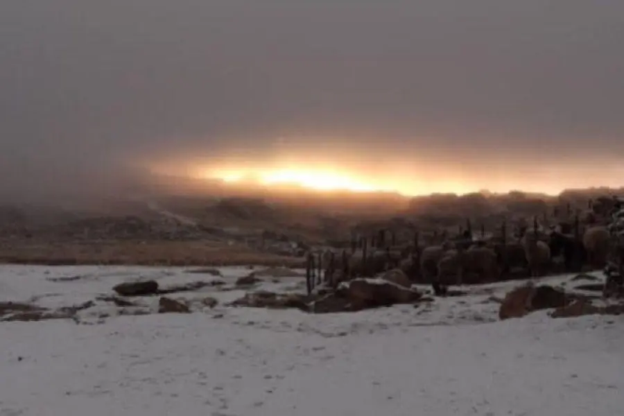 Nevó por segunda vez en el año en las sierras de Córdoba: y todavía ni llegó el invierno