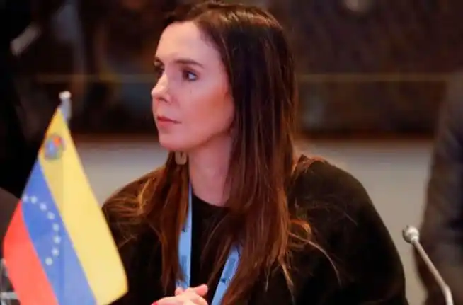 El Gobierno le quitó las credenciales a la embajadora de Guaidó en Argentina