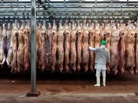 Crisirs en un frigorífico: Incumplimientos con China y sueldos atrasados sacuden al secto