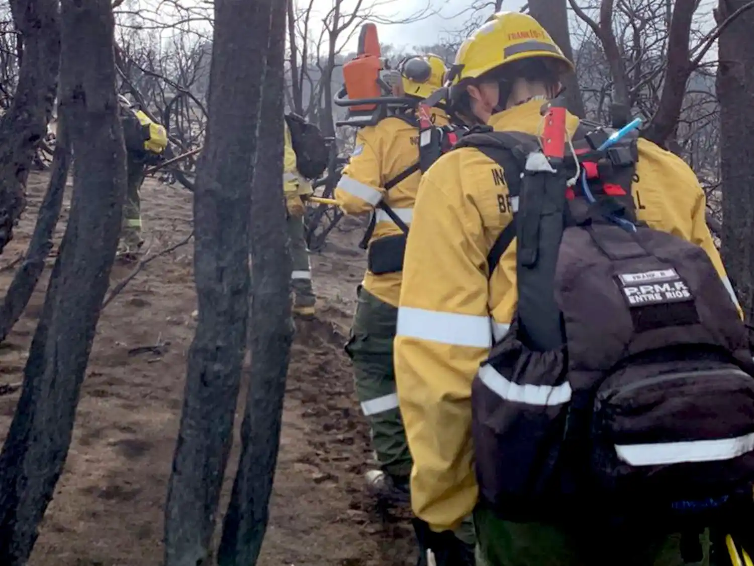 Concluyeron las tareas de los brigadistas entrerrianos en los bosques patagónicos