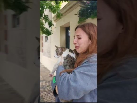 Apareció Simón, el gato travieso