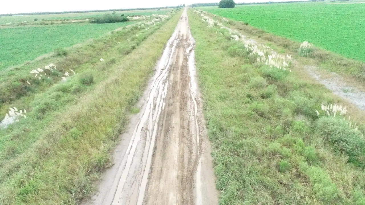 El Senador Michlig reclamó obras viales en rutas y caminos provinciales