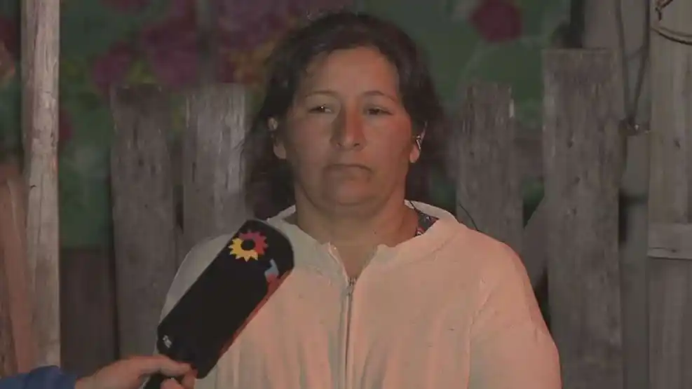 Laudelina Peña, tía del menor.