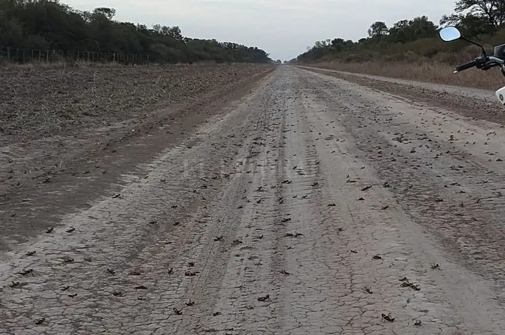 La manga llegó a Santa Fe