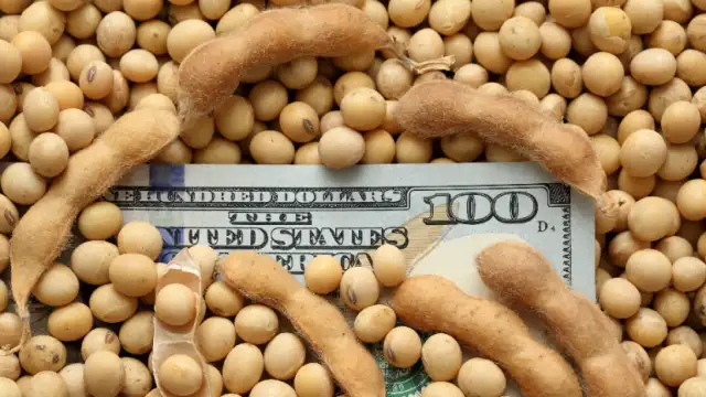 CRA advierte que el agro cobra con un dólar de $ 10 y paga con uno de $ 15