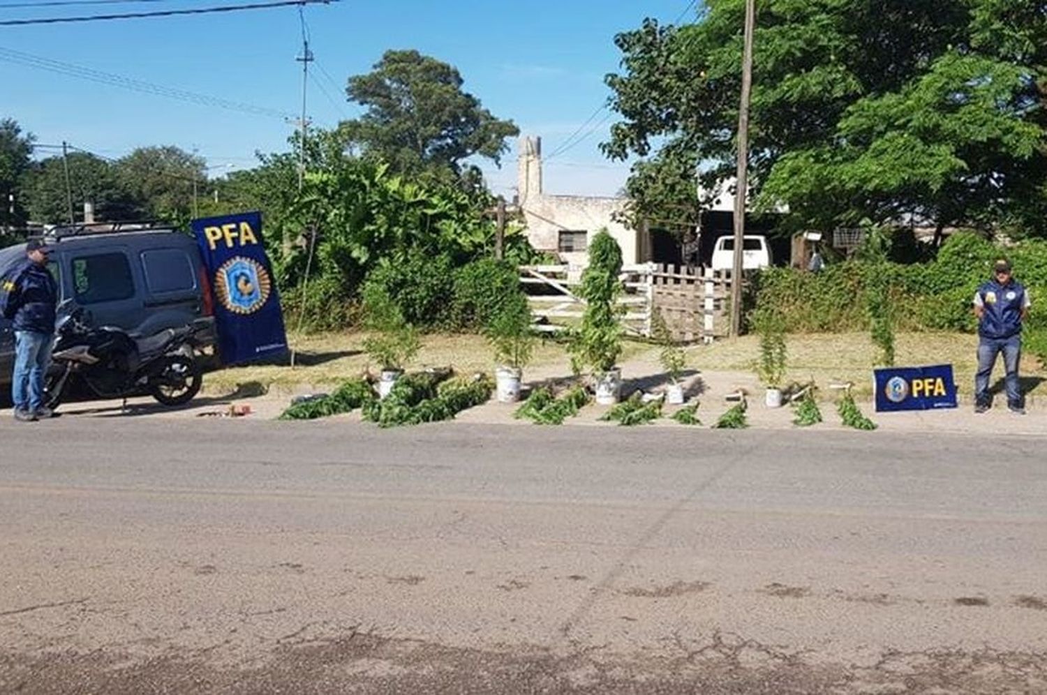 Venado Tuerto: detienen a una persona por tener plantas de marihuana en su casa