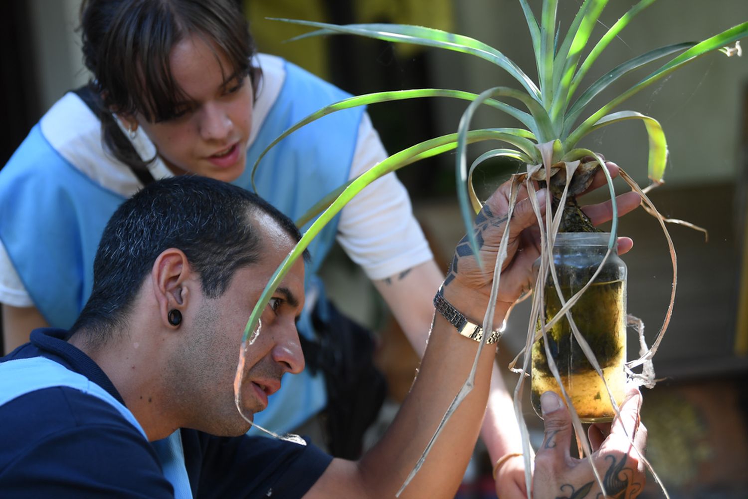 Dengue: ya son 341 los casos reportados en la provincia de Córdoba