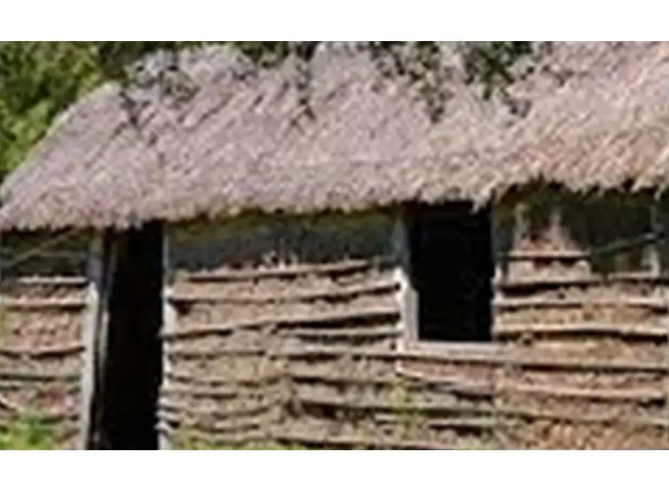 RANCHO2