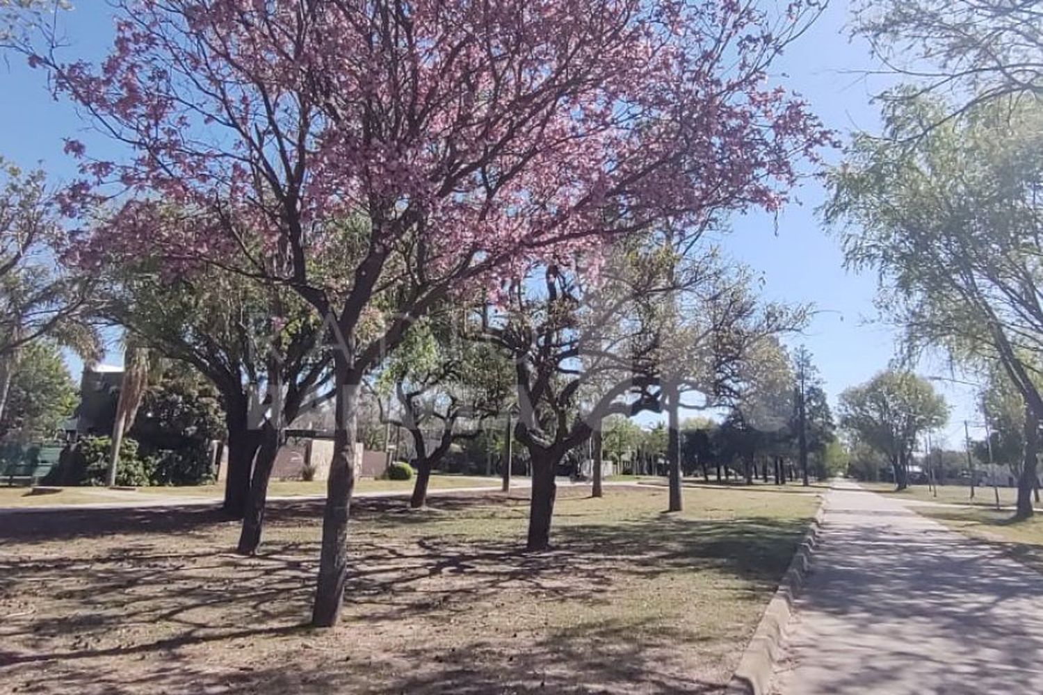 Se acerca la primavera y se hace sentir: miércoles cálido en la ciudad de Rafaela y la región 