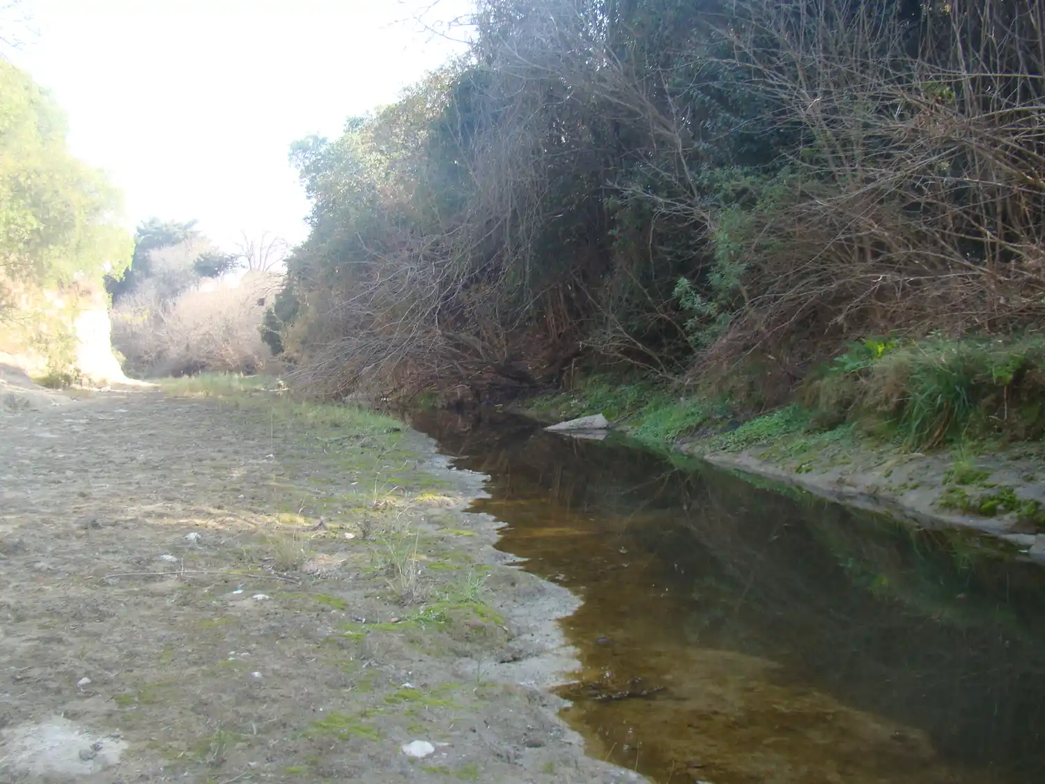 El arroyo que recobró la fisonomía y el ambiente de un atractivo lugar