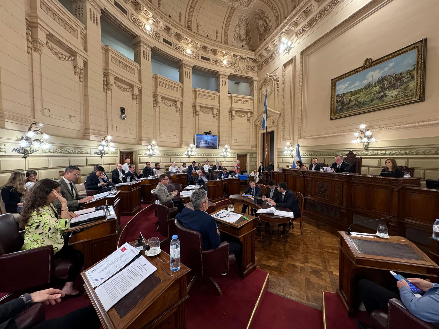 El momento donde la legisladora detalla las características del proyecto.