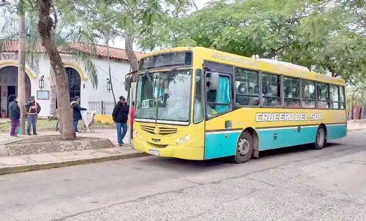 El domingo 19 será gratuito el 
transporte público de pasajeros