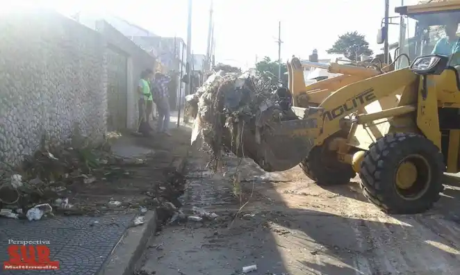 Quilmes: Intenso operativo de erradicación de micro basurales