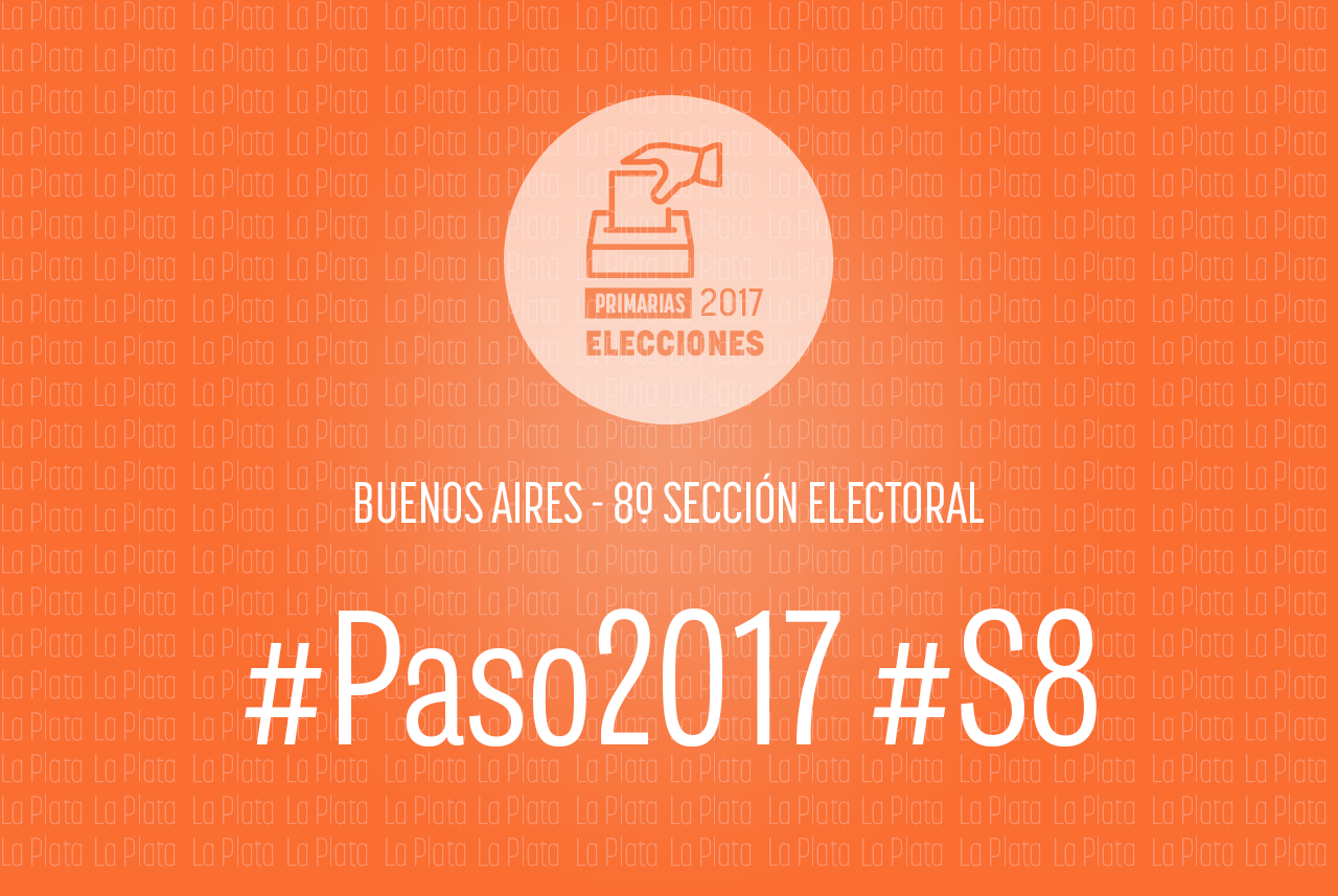 Elecciones Paso 2017: En la Octava Sección, 23 nóminas compiten por el acceso a la Cámara de Diputados Provincial