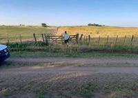 Un productor radicado en Tandil sufrió el robo de más de 500 vacunos de un campo pampeano