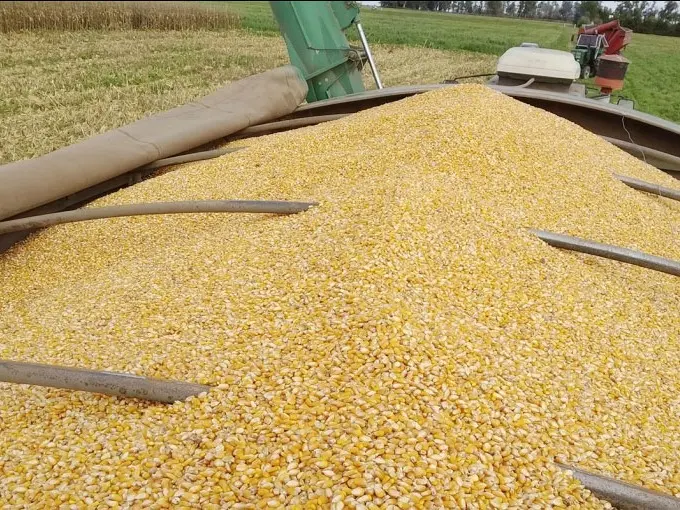 El Gobierno presentó al campo su propuesta para fiscalizar semillas: solo se aplicaría a variedades nuevas