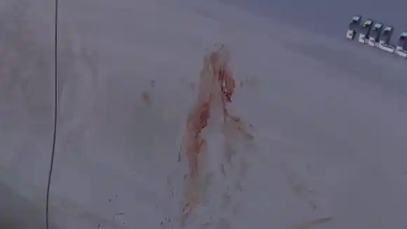 Brutal ataque a un dirigente de Luz y Fuerza en Punta Alta: lo balearon con una escopeta y está internado