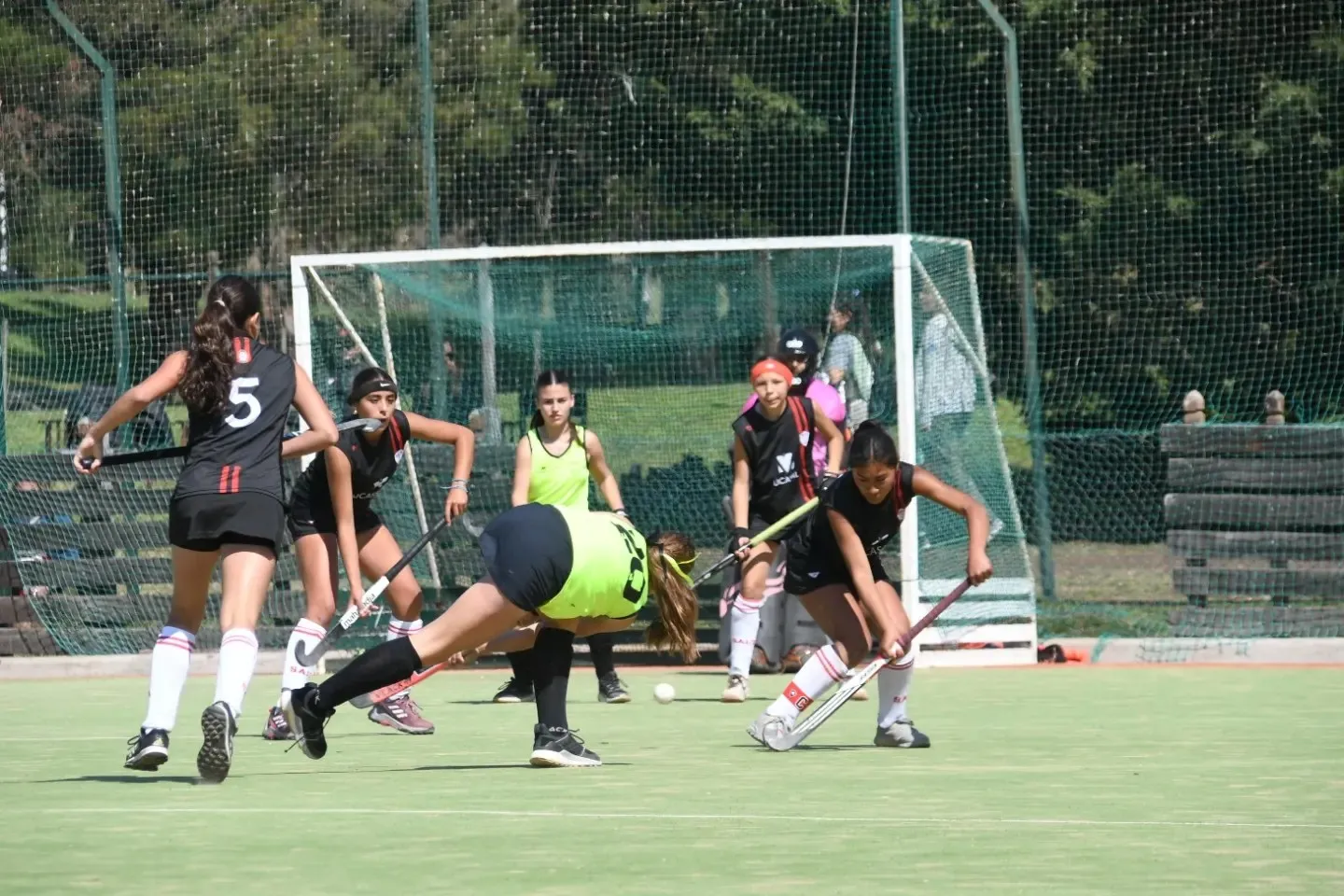 El seleccionado femenino no pudo meterse en la final