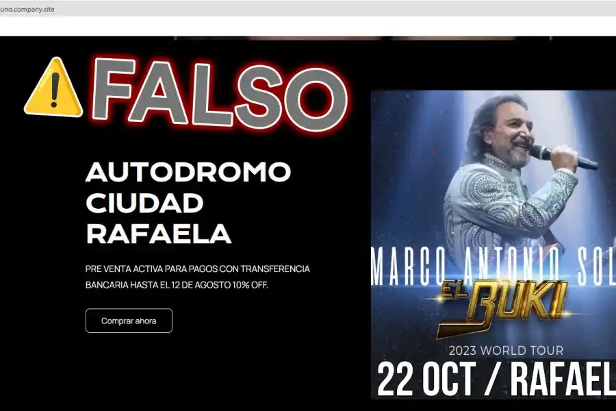 Captura de pantalla de la web falsa