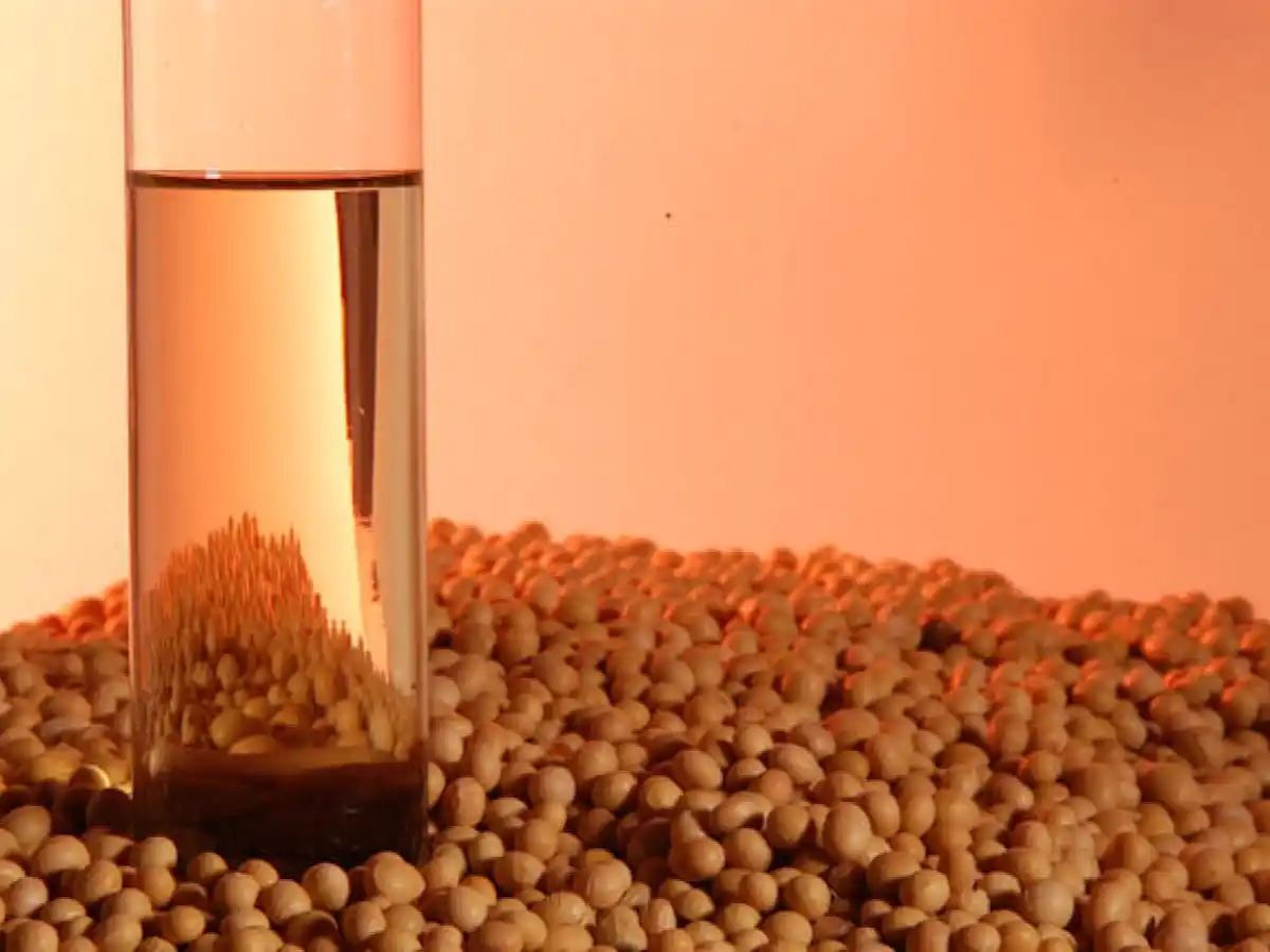 El biodiésel argentino se prepara para volver a Europa mientras espera el milagro de Estados Unidos