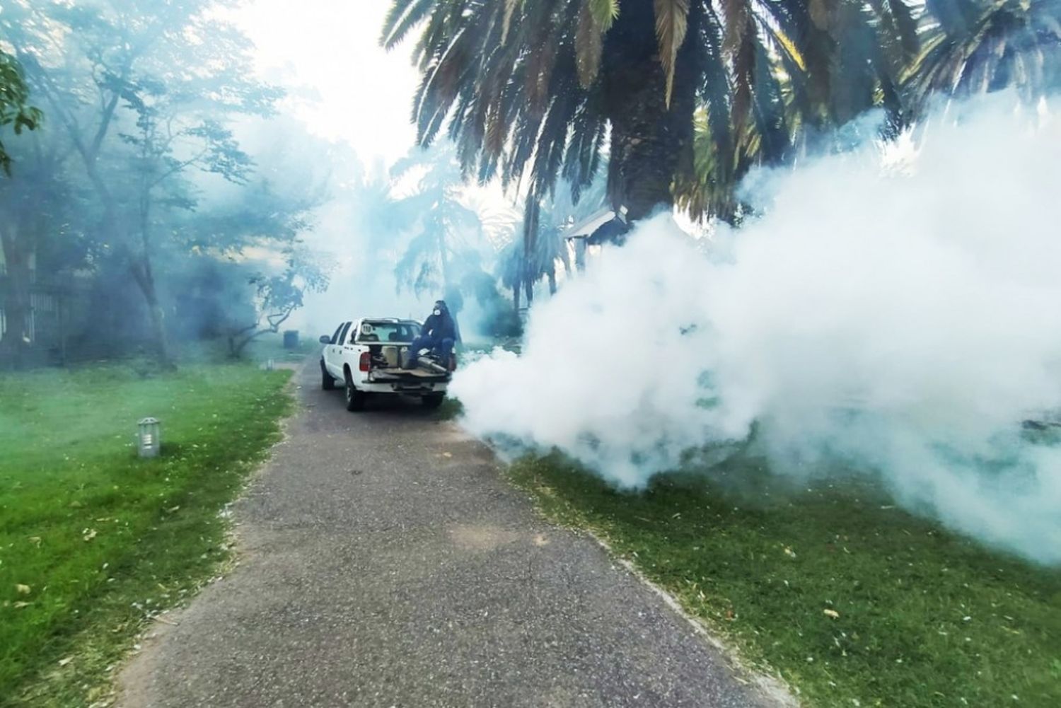 Reforzarán la fumigación en espacios verdes