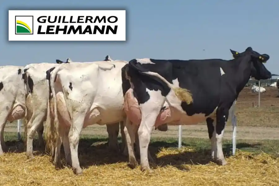 Se viene el Gran Remate "Pasión Lechera" con genética de elite