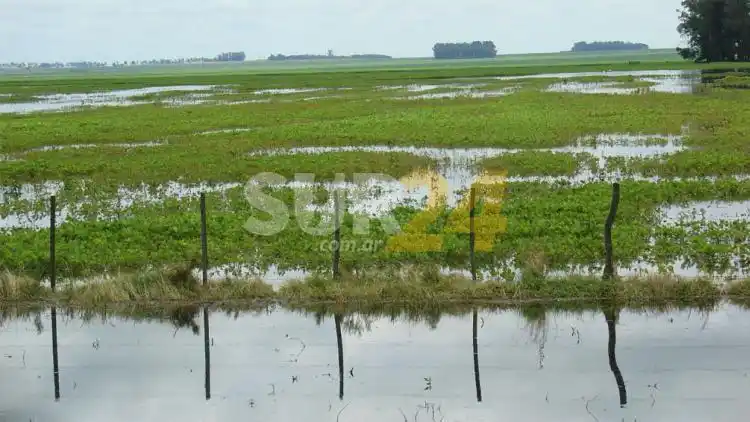 Se reglamentó una ley del senador Enrico para beneficiar a los productores afectados por La Picasa