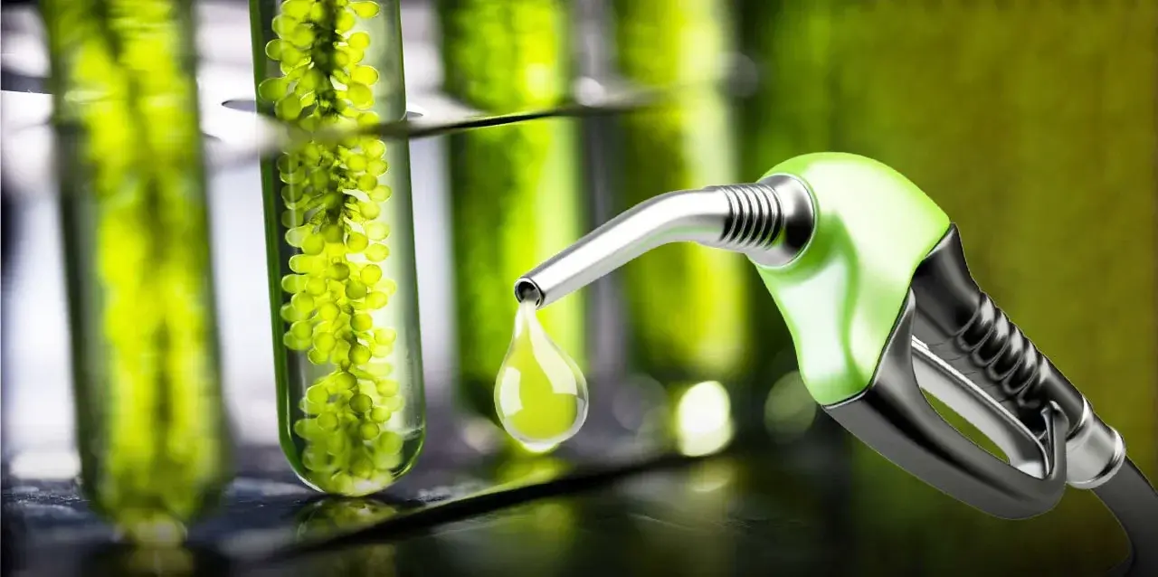 Energía autorizó subas de hasta 4% en los biocombustibles