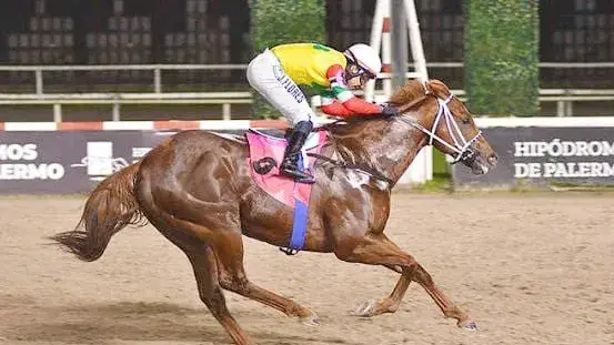 Le Cornette va por el double-event en el Clásico Paraguay (G3), en Palermo.