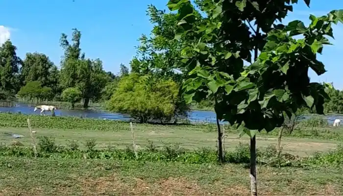 ¿Alguien más sintió un fuerte olor a ácido?