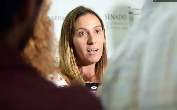 Acalorado cruce en Legislatura por los fondos para obras de Junín: la precandidata massista apuntó contra Petrecca