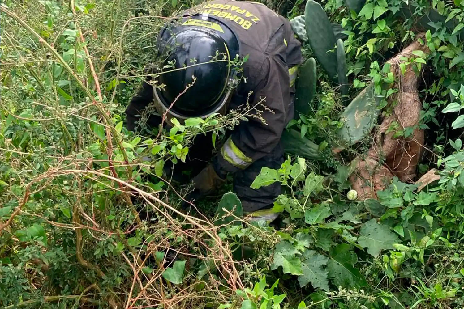 rescate de bomberos zapadores rafaela - 1