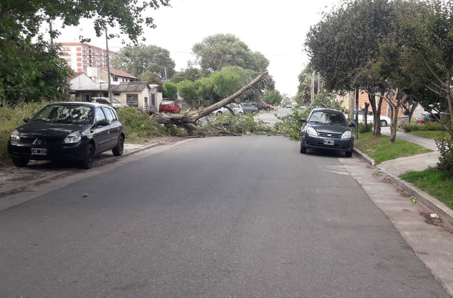 El viento también provocó destrozos en el centro y zona norte