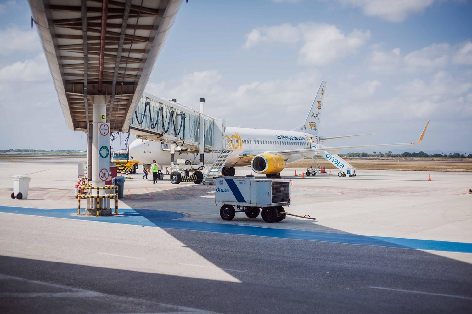 Proyectan que Flybondi llevará más de dos mil turistas argentinos al estado de Alagoas