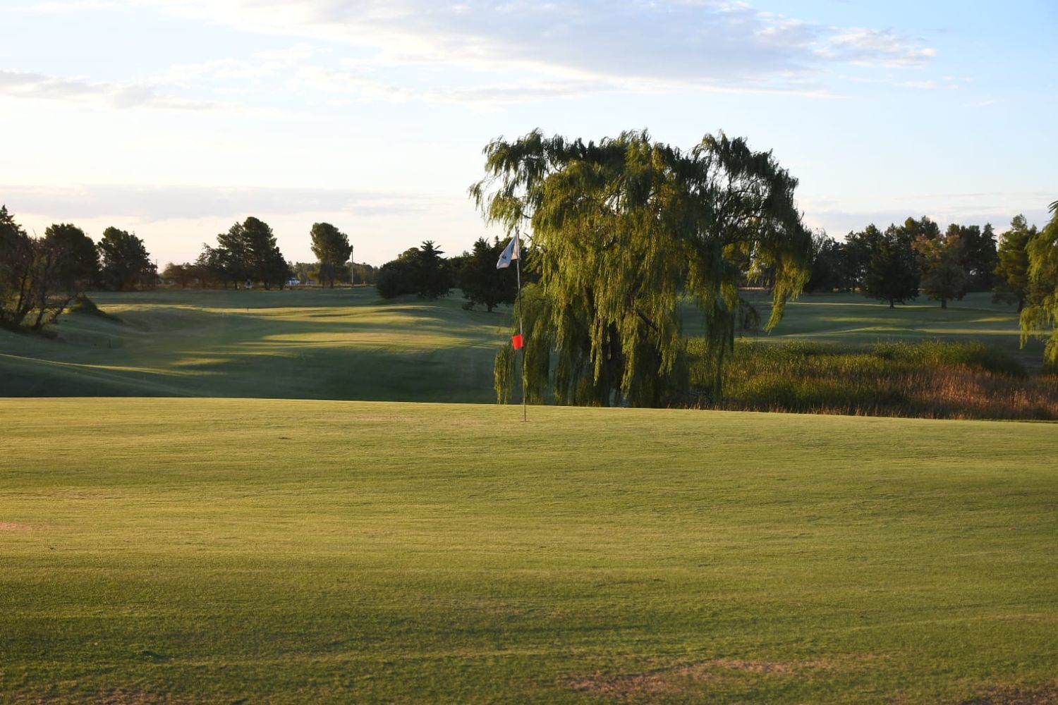 Torneitos a 9 hoyos en el Golf Club