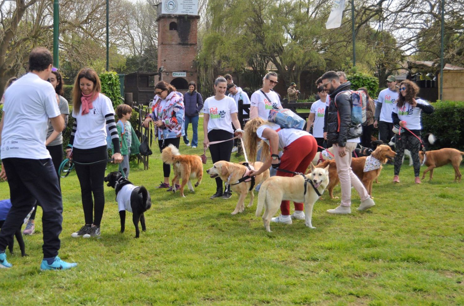 Primera Pet Run en Mar del Plata: "Va a ser un festival para ir con la familia"