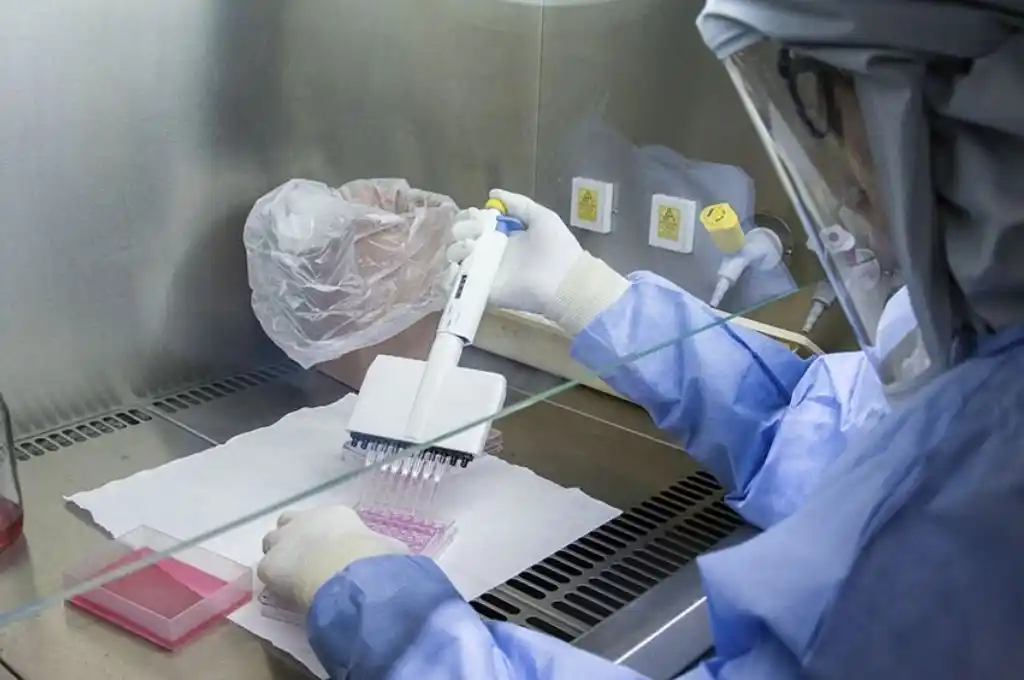 Un método de diagnóstico de cáncer de mama sirve en otros tumores