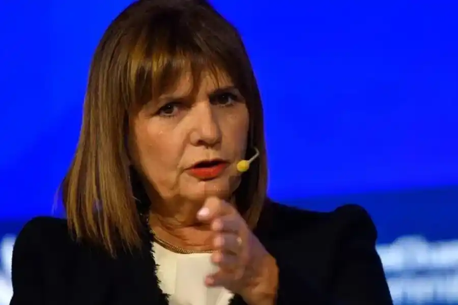 Patricia Bullrich: "Voy a buscar a Loan en la panza de los animales"