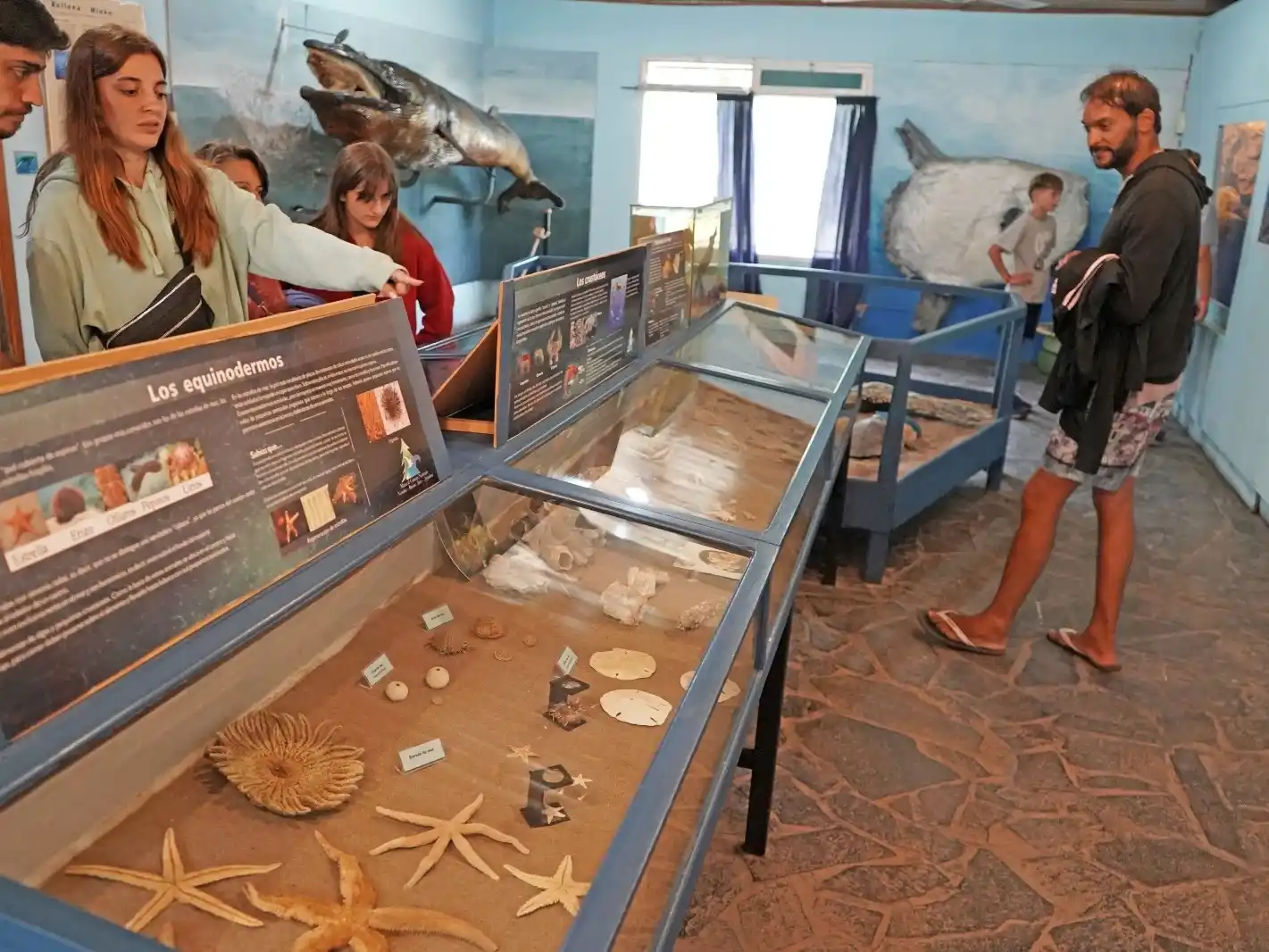 Museos de Ciencias Naturales