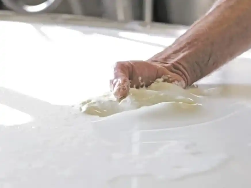 Estos resultados reflejan el impacto del proceso de modernización que atraviesa la cadena láctea argentina. Foto: Archivo El Litoral