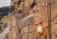 La estrella de mar "culona" llegó a las sierras de Tandil