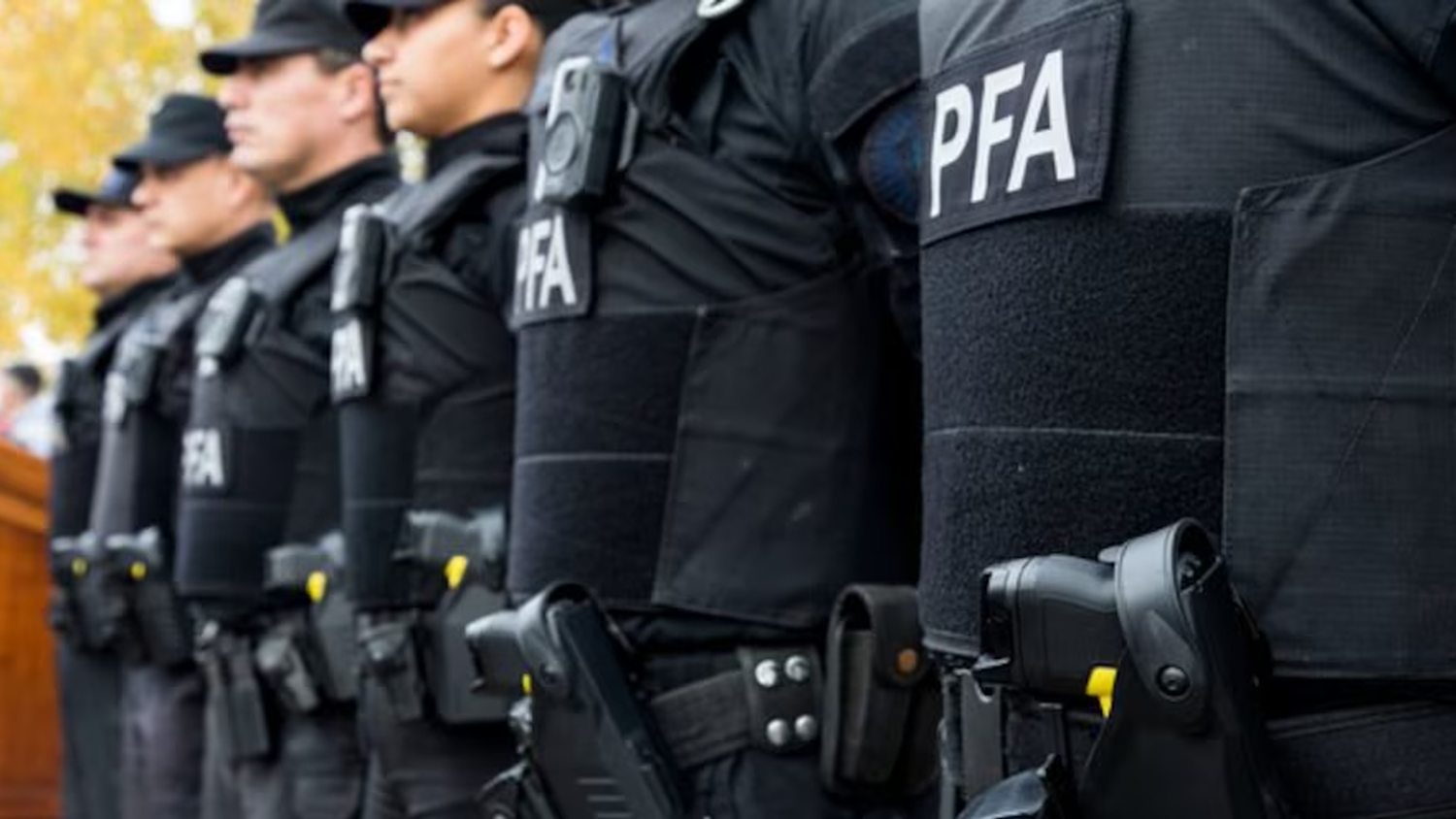 Qué dice el nuevo decreto sobre ciberpatrullaje y qué implican los cambios en la Policía Federal