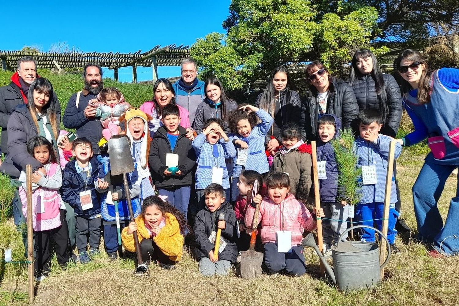 Celebran el aniversario de la ciudad con la creación de un bosque con 150 pinos marinos