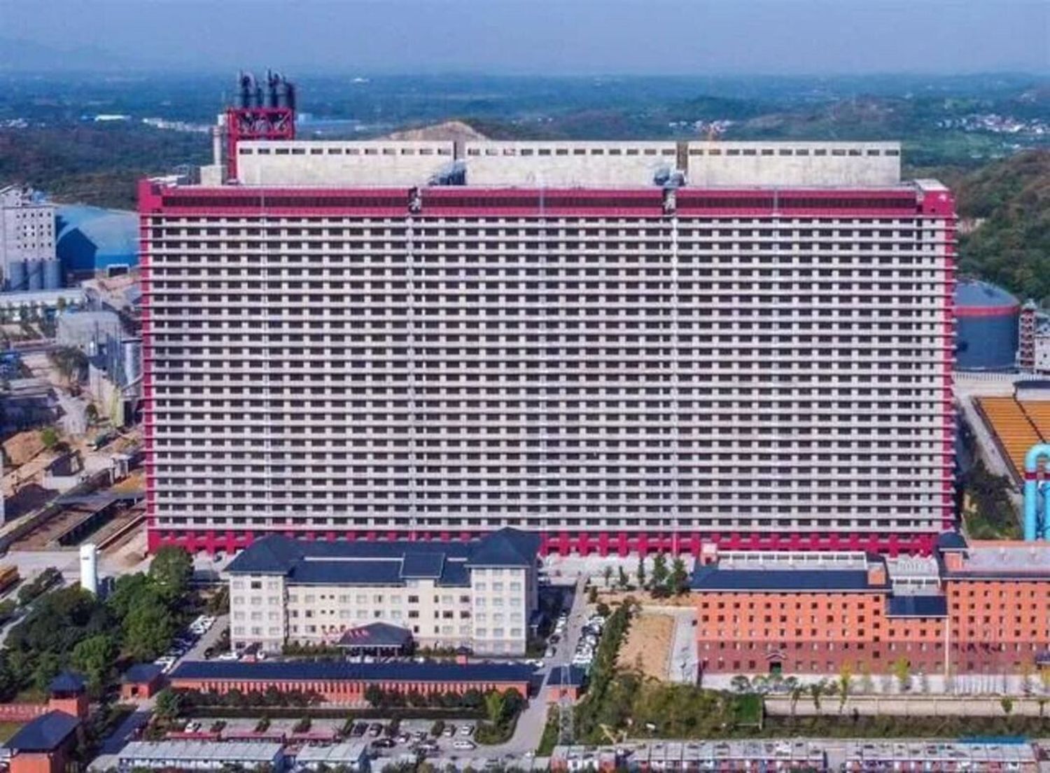 Rascacielo en China para criar cerdos