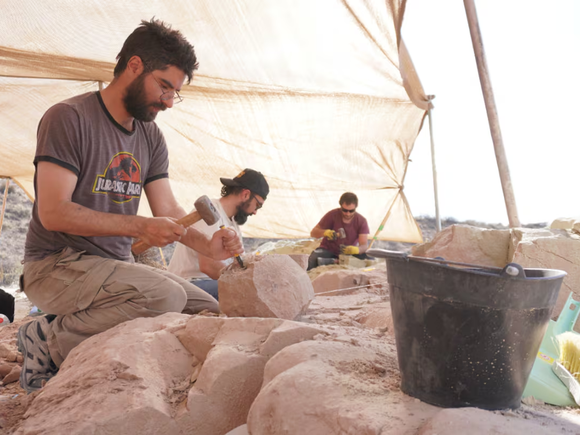 Paleontólogos del Conicet transmitirán en vivo la búsqueda de fósiles de dinosaurios: cuándo es y dónde verlo