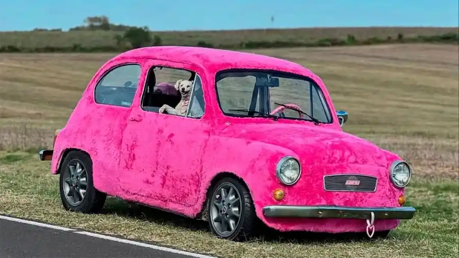 Una joven cubrió de tela de peluche rosa su Fiat 600 y causó furor en Entre Ríos